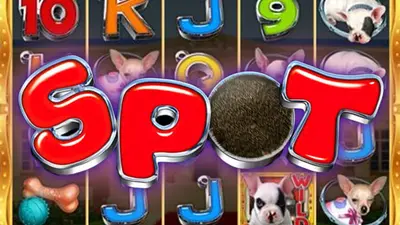 spot